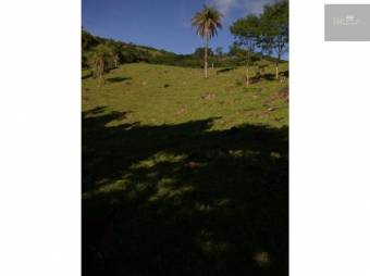 V#203 Majestuosa Finca en Venta para Inversión/Alajuela