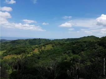 V#201 Maravillosa Finca en Venta/Guanacaste