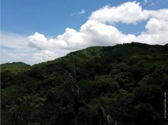 V#201 Maravillosa Finca en Venta/Guanacaste