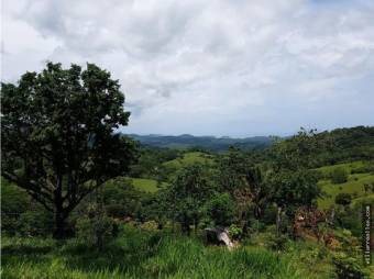 V#201 Maravillosa Finca en Venta/Guanacaste