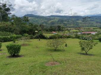 MLS-21-1866 VENTA LOTE TUIS TURRIALBA 