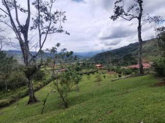 MLS-21-1866 VENTA LOTE TUIS TURRIALBA 