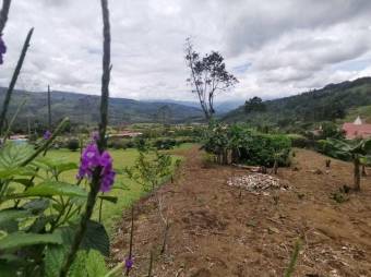 MLS-21-1866 VENTA LOTE TUIS TURRIALBA 