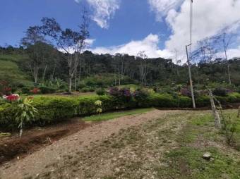 MLS-21-1866 VENTA LOTE TUIS TURRIALBA 