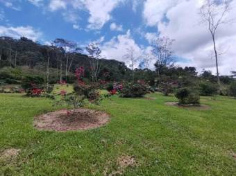 MLS-21-1866 VENTA LOTE TUIS TURRIALBA 