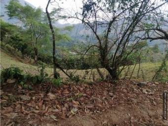 V#434 Finca de venta en La Palma,Puriscal