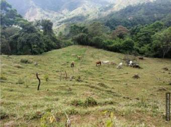 V#434 Finca de venta en La Palma,Puriscal