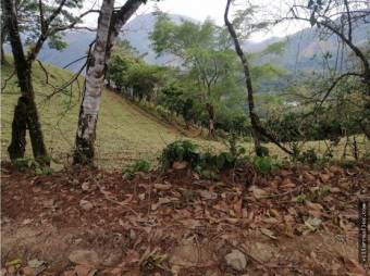 V#434 Finca de venta en La Palma,Puriscal