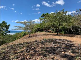 V#437 Lote de Venta en Playa Coyote,Guanacaste 