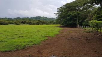 MLS-21-2053 VENTA LOTE SARDINAL CARRILLO GUANACASTE 