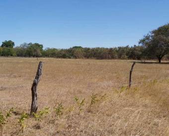 MLS-21-2053 VENTA LOTE SARDINAL CARRILLO GUANACASTE 