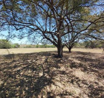 MLS- 21-2054 VENTA LOTE SARDINAL GUANACASTE 