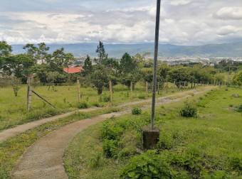 VENTA DE PROPIEDAD CON CASA Y BODEGA, CARTAGO