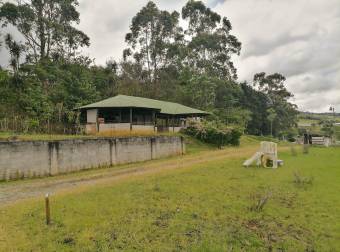 VENTA DE PROPIEDAD CON CASA Y BODEGA, CARTAGO