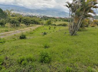 VENTA DE PROPIEDAD CON CASA Y BODEGA, CARTAGO