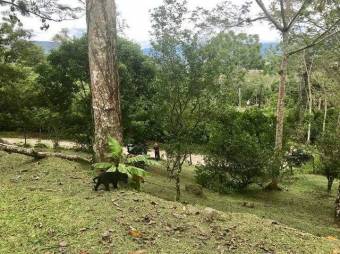 MLS-21-215 VENTA LOTE EL REPASTO TURRIALBA 