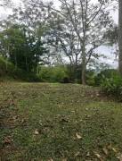 MLS-21-215 VENTA LOTE EL REPASTO TURRIALBA 