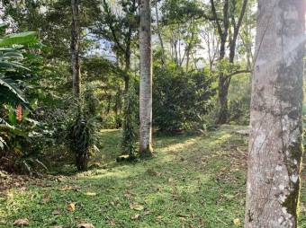 MLS-21-215 VENTA LOTE EL REPASTO TURRIALBA 