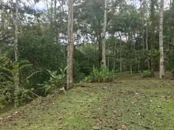 MLS-21-215 VENTA LOTE EL REPASTO TURRIALBA 