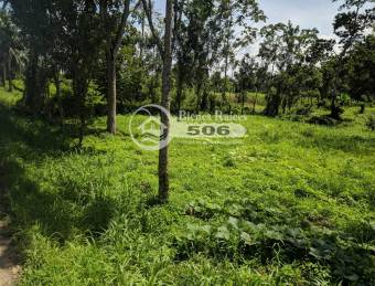 Lote Pococi Guápiles Limón #1060 