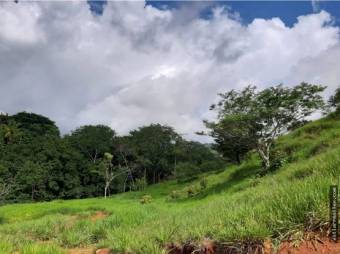 V#449 Espectacular Terreno en Venta en Nandayure/Guanacaste.