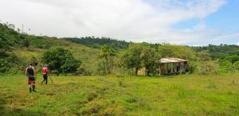 Rural property for cattle raising or to develop a tourism project / Excellent price 