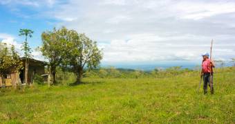 Rural property for cattle raising or to develop a tourism project / Excellent price 
