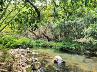 VENTA DE FINCA GUANACASTE, CAÑAS, PALMIRA, VALLE ESCONDIDO