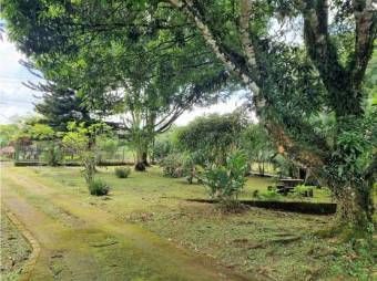 VENTA DE QUINTA, ALAJUELA, SAN CARLOS, AGUAS ZARCAS