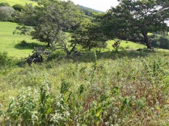 Finca Ganadera en San Blas de Guanacaste en Venta. CG-20-827