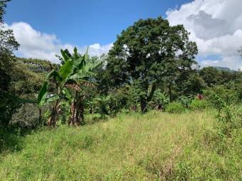 MLS-23-991 VENTA FINCA CORRALILLO CARTAGO 