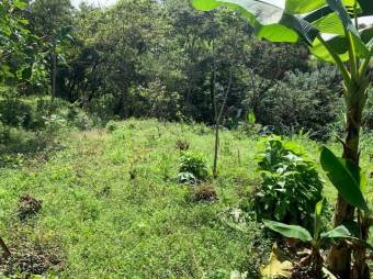 MLS-23-991 VENTA FINCA CORRALILLO CARTAGO 