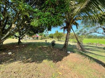 MLS-23-302 VENTA FINCA GUACIMO LIMON