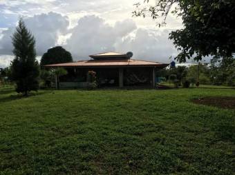 MLS-23-302 VENTA FINCA GUACIMO LIMON