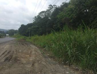 VENTA DE FINCA, ALAJUELA, NARANJO