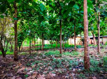 Vendo hermoso terreno en Jiracal de Puntarenas