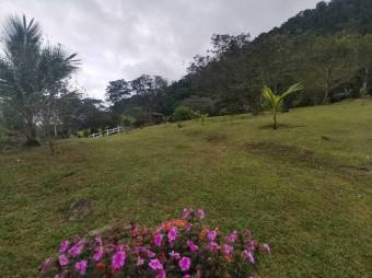 MLS-23-1674 VENTA FINCA JAVILLOS TURRIALBA