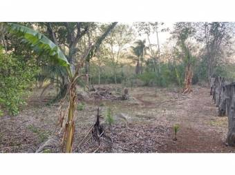 VENTA DE LOTES, ALAJUELA, OROTINA, COYOLAR