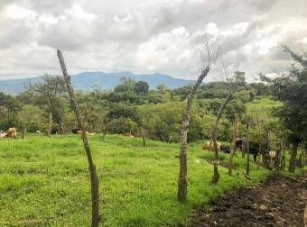 VENTA DE FINCA EN SAN RAFAEL DE CORONADO