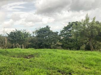 VENTA DE FINCA EN SAN RAFAEL DE CORONADO