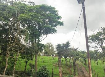 VENTA DE FINCA EN SAN RAFAEL DE CORONADO