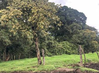 VENTA DE FINCA EN SAN RAFAEL DE CORONADO