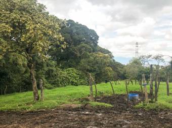 VENTA DE FINCA EN SAN RAFAEL DE CORONADO