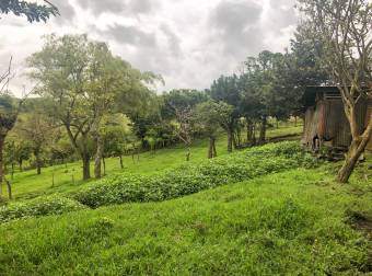 VENTA DE FINCA EN SAN RAFAEL DE CORONADO