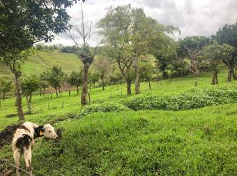 VENTA DE FINCA EN SAN RAFAEL DE CORONADO