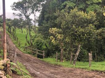 VENTA DE FINCA EN SAN RAFAEL DE CORONADO