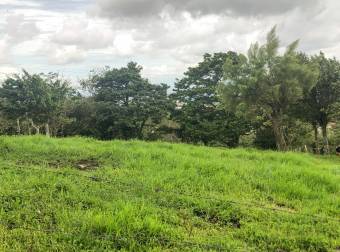 VENTA DE FINCA EN SAN RAFAEL DE CORONADO