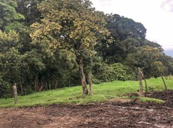 VENTA DE FINCA EN SAN RAFAEL DE CORONADO