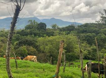 VENTA DE FINCA EN SAN RAFAEL DE CORONADO