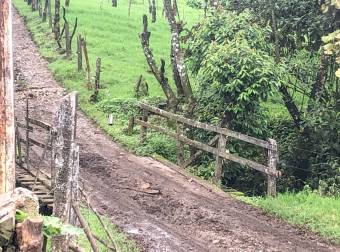 VENTA DE FINCA EN SAN RAFAEL DE CORONADO